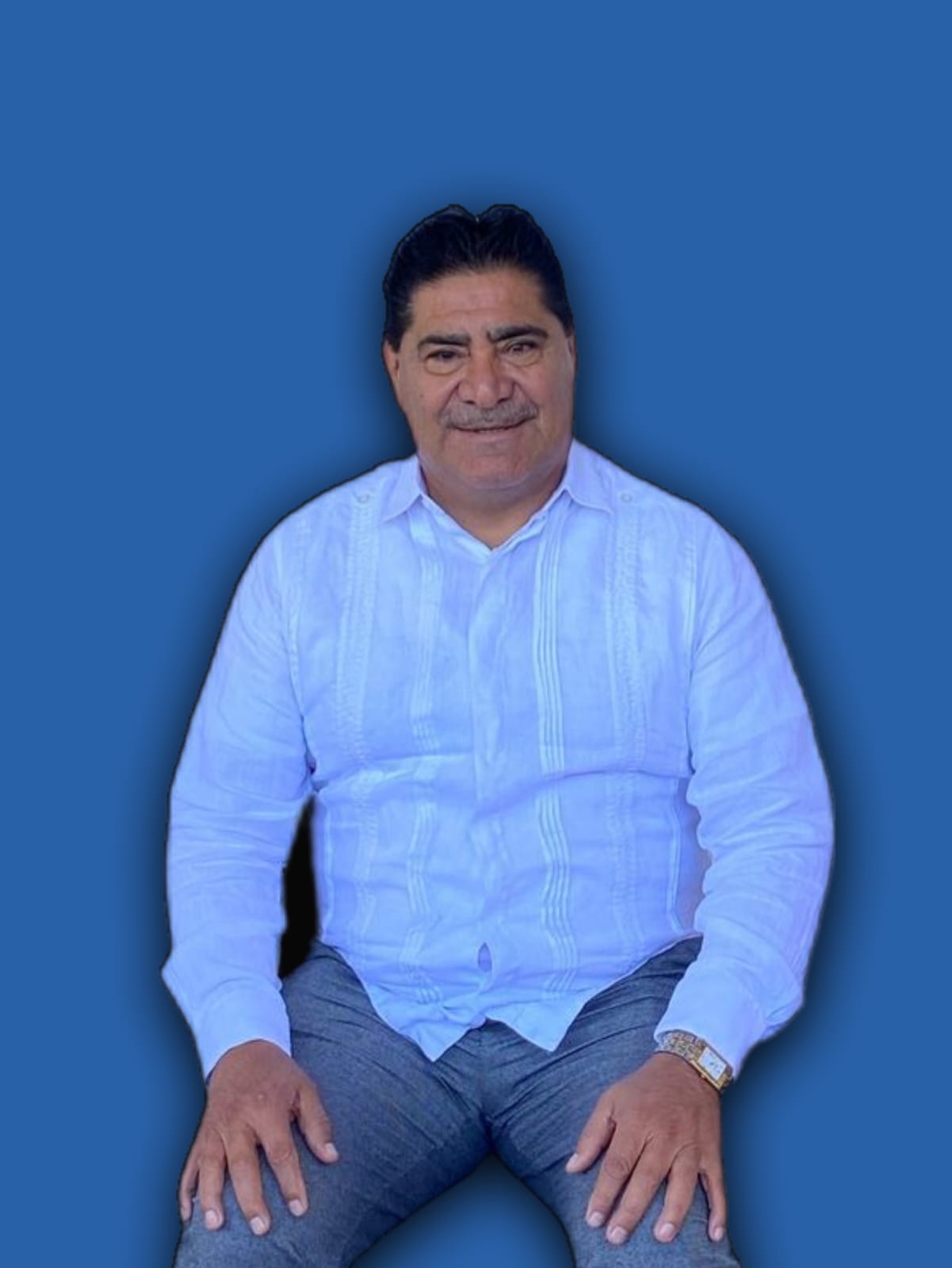 Presidente Municipal